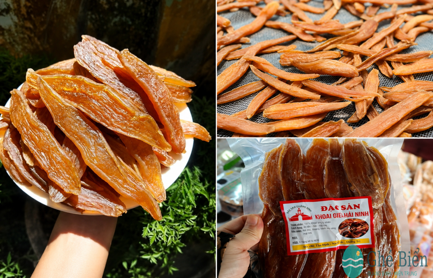 Tìm hiểu về khoai deo Quảng Bình – Tinh hoa từ nắng gió miền cát trắng 