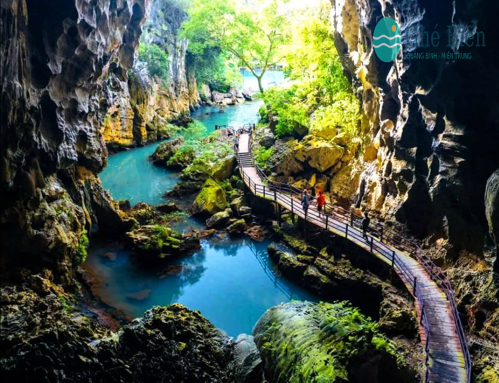 Sông Chày – Hang Tối: Điểm trải nghiệm thiên nhiên lý tưởng cho cả gia đình tại Phong Nha